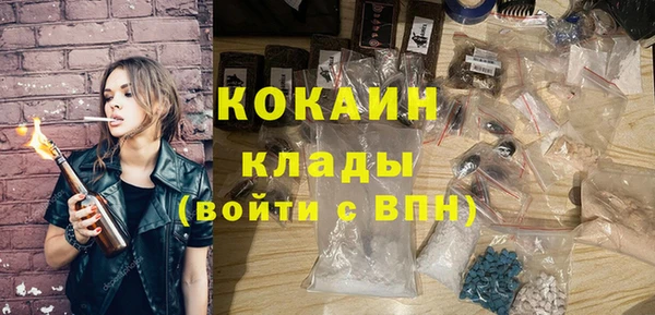 сатива Иннополис