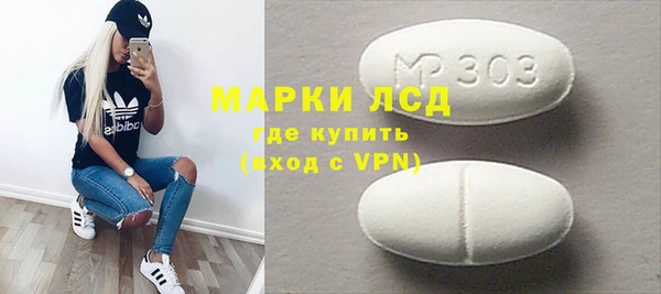 сатива Иннополис