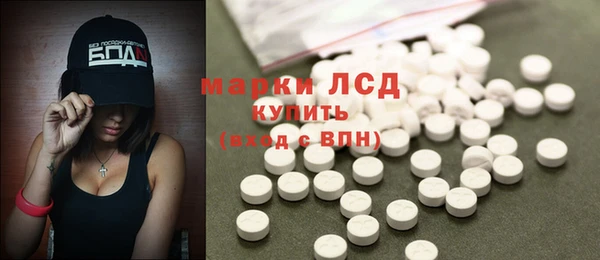 сатива Иннополис