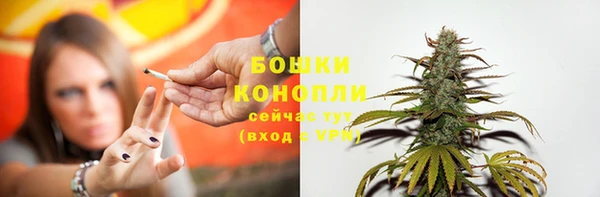 мет Инсар