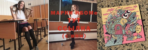 мет Инсар