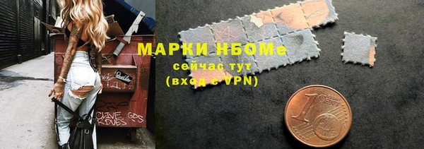сатива Иннополис