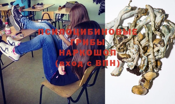 герыч Инта