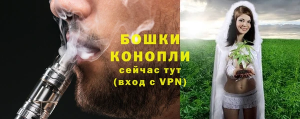 мет Инсар