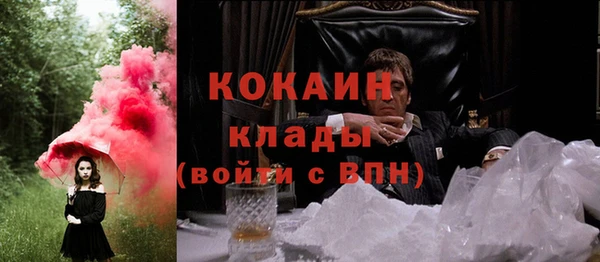 сатива Иннополис