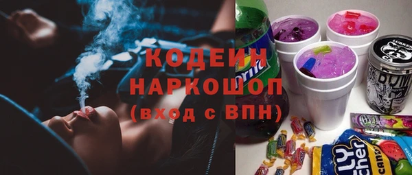 сатива Иннополис